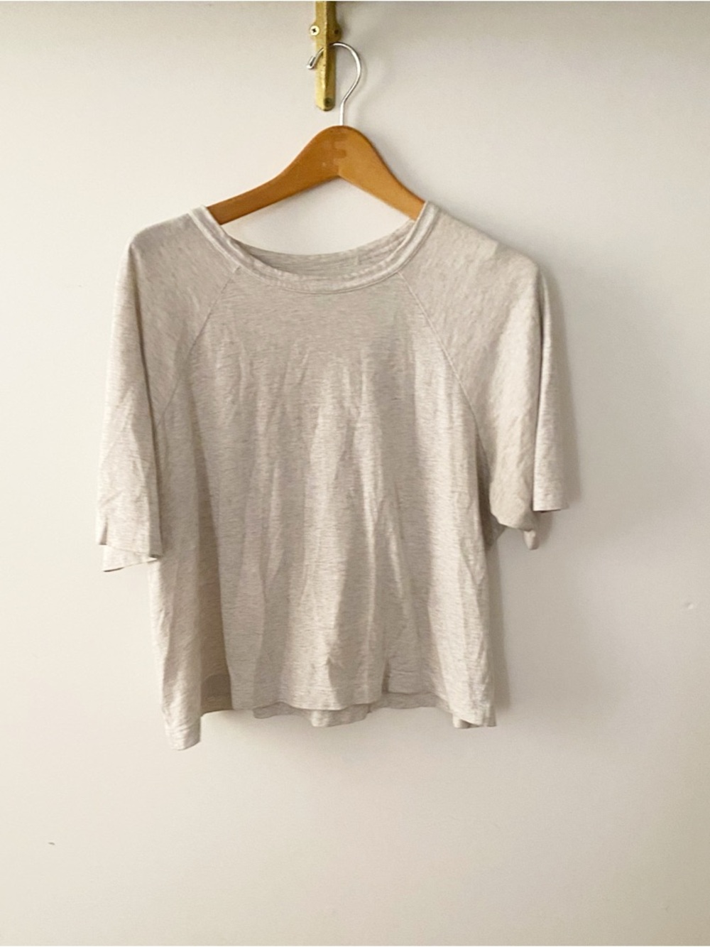 Everlane Light Gray Cropped Boxy Tee